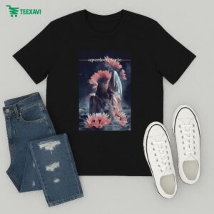 A Perfect Circle May 10 2025 Event By Ron Ransom At Pnc Music Pavilion Charlotte Nc T-Shirt